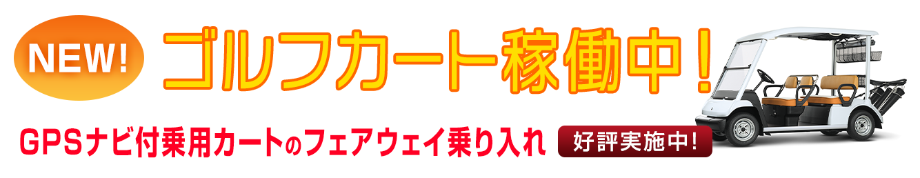 カート乗り入れ実施中